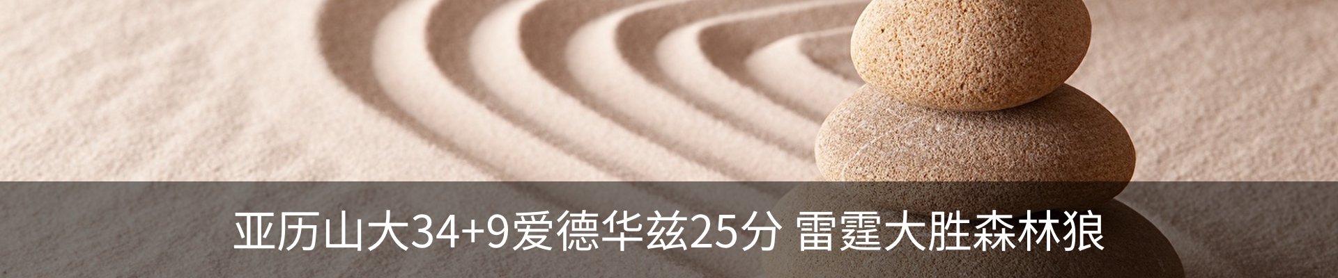 新闻动态