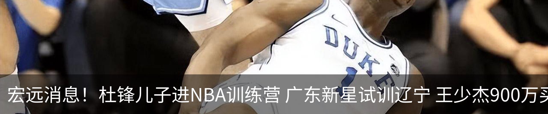 新闻动态