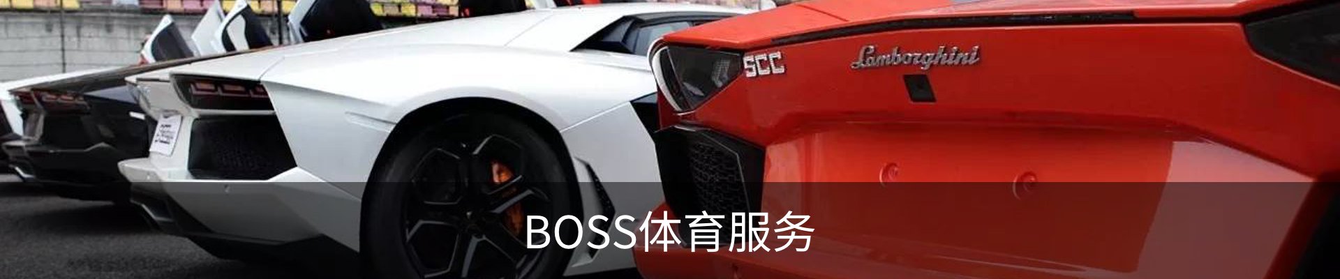 BOSS体育服务